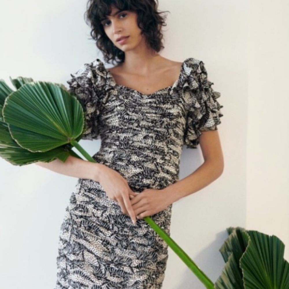 Zara animal print ruffle sleeve top